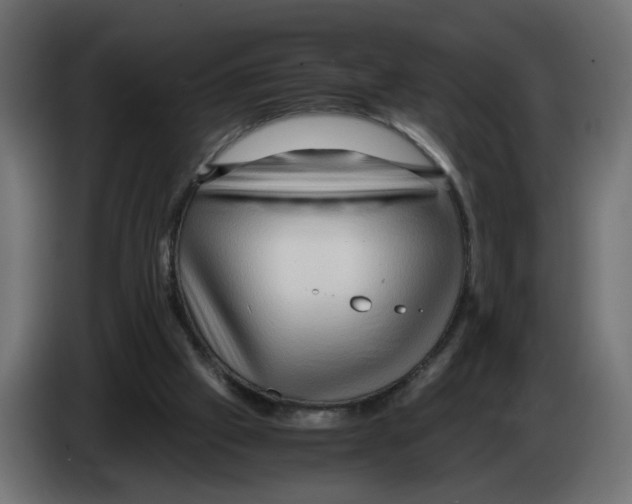 X0000082950057200703020159