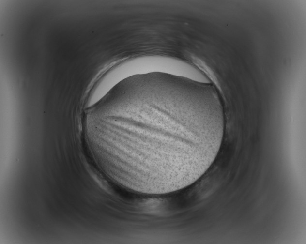 X0000082950059200703020159