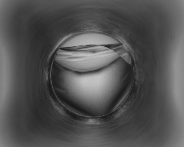 X0000082950060200703020159