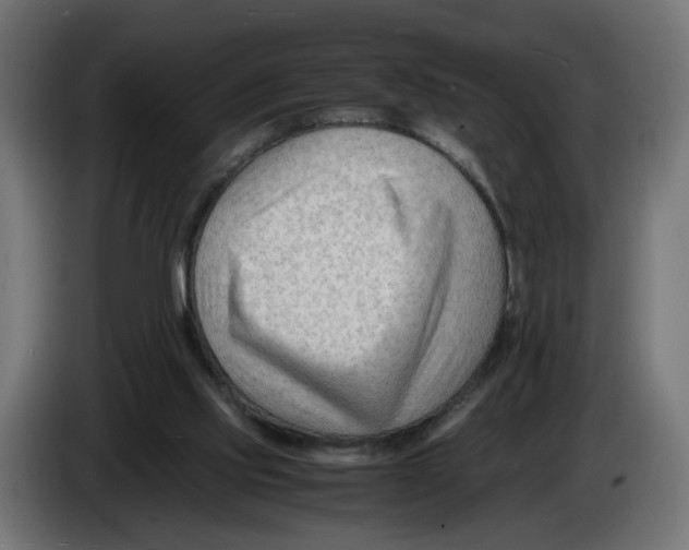 X0000082950061200703020159