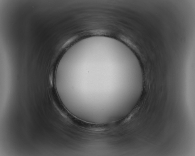 X0000082950062200703020159