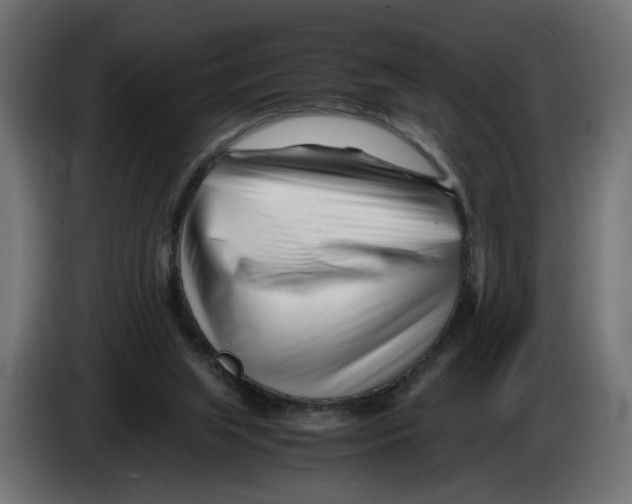 X0000082950063200703020159