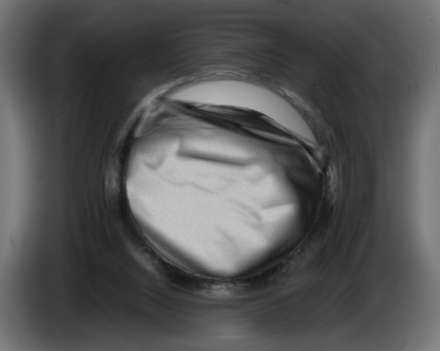 X0000082950064200703020159