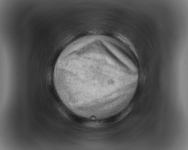 X0000082950065200703020159