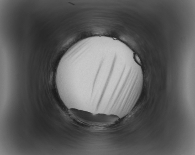 X0000082950066200703020159