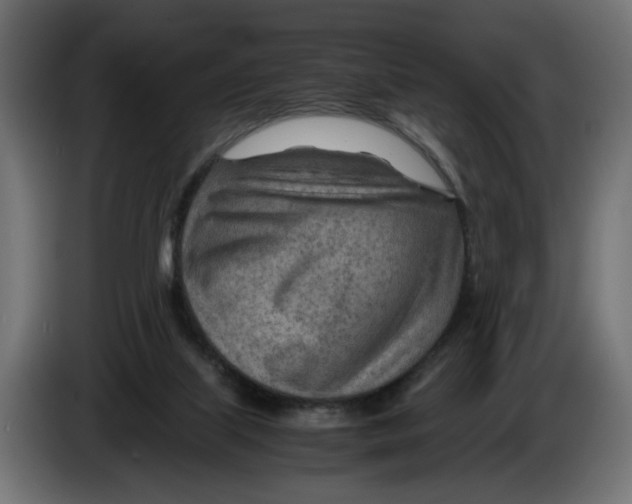 X0000082950067200703020159