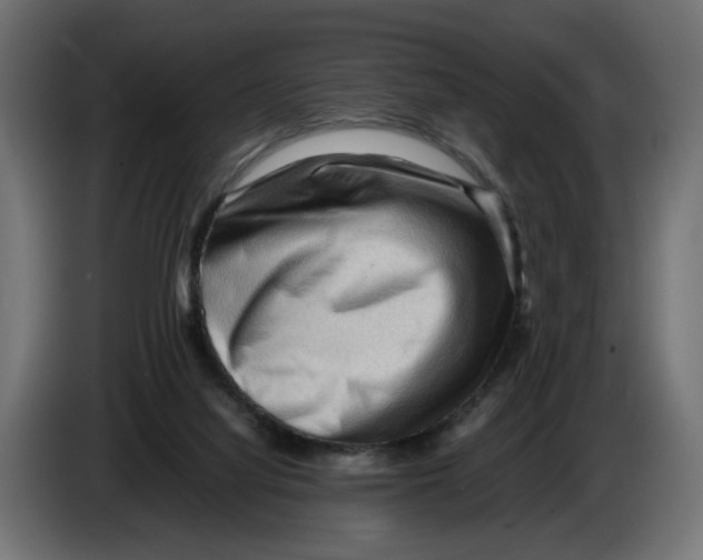 X0000082950068200703020159