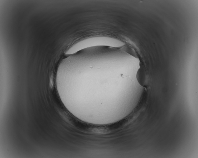 X0000082950069200703020159