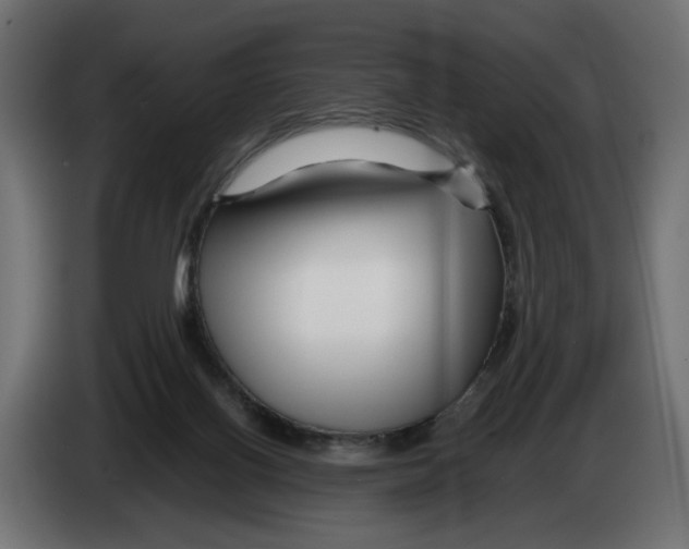 X0000082950070200703020159