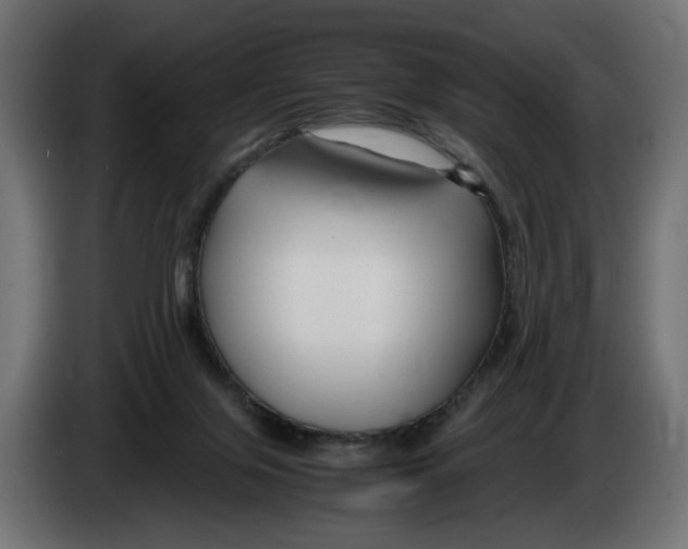 X0000082950071200703020159