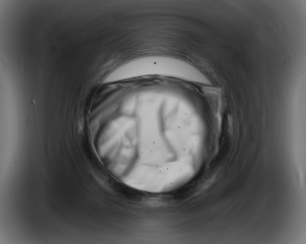 X0000082950072200703020159