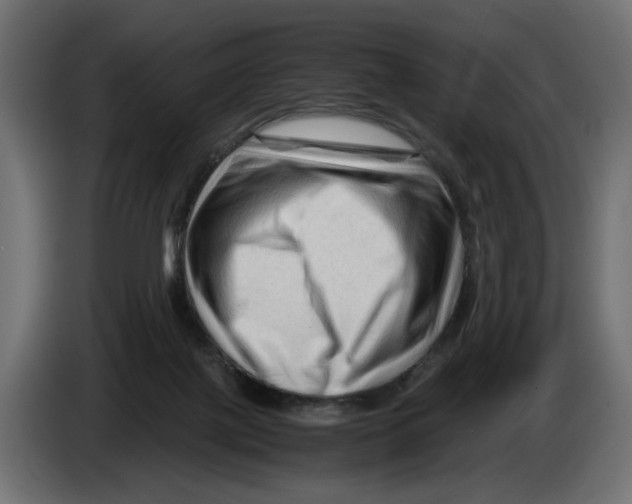 X0000082950075200703020159