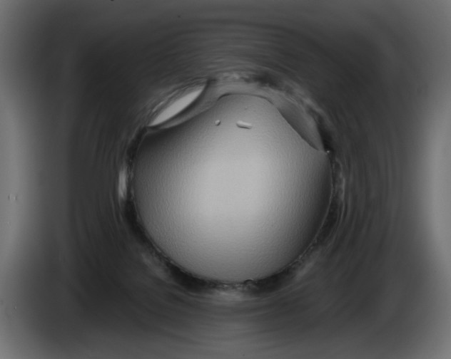 X0000082950076200703020159