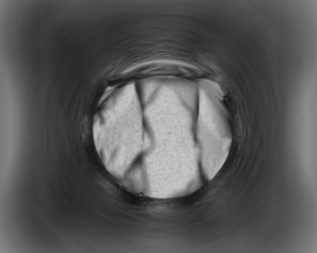 X0000082950077200703020159