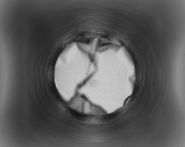 X0000082950078200703020159