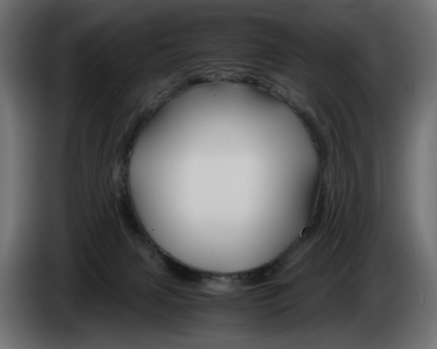 X0000082950079200703020159