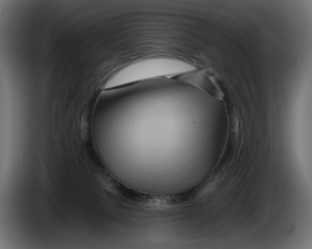 X0000082950080200703020159