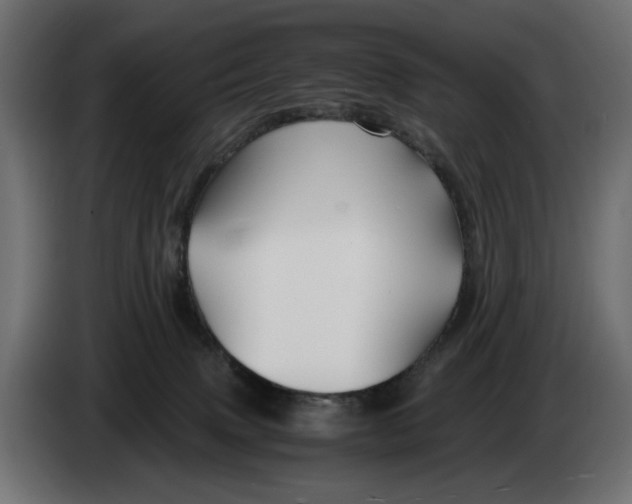 X0000082950083200703020159