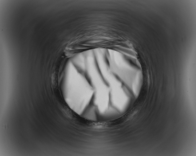 X0000082950088200703020159