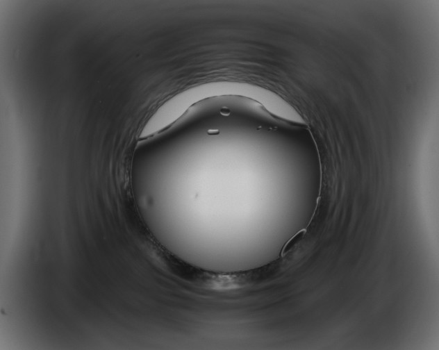 X0000082950091200703020159