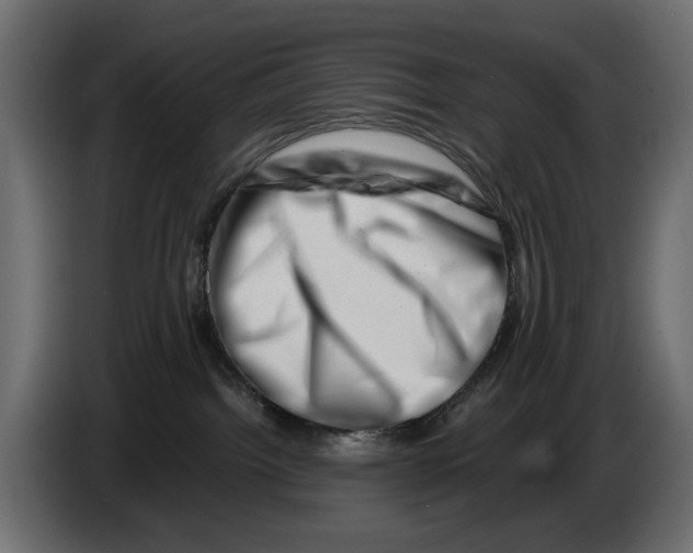 X0000082950092200703020159