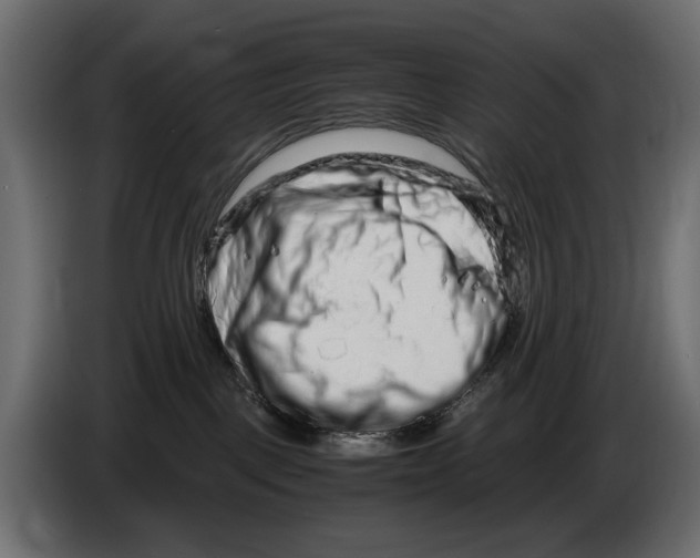 X0000082950093200703020159