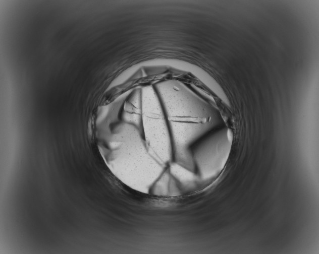 X0000082950094200703020159