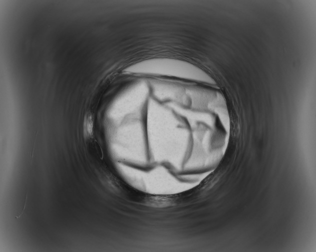 X0000082950095200703020159