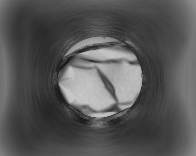 X0000082950096200703020159