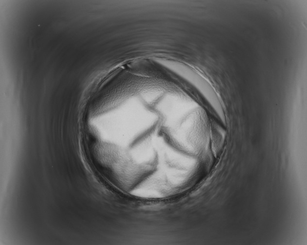 X0000082950097200703020159