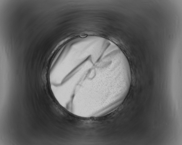 X0000082950098200703020159