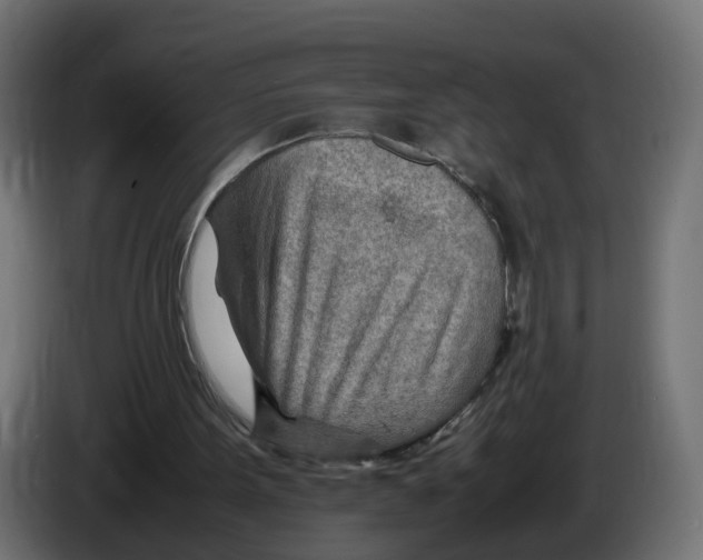 X0000082950099200703020159