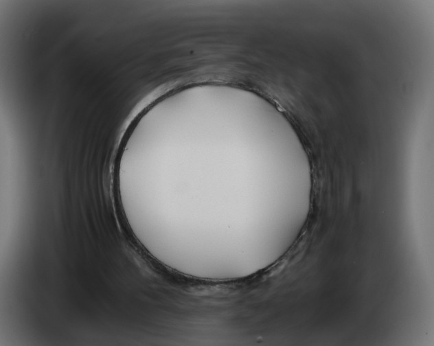 X0000082950100200703020159