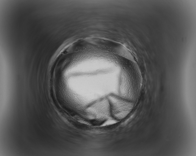 X0000082950101200703020159