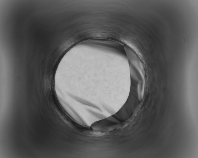 X0000082950105200703020159