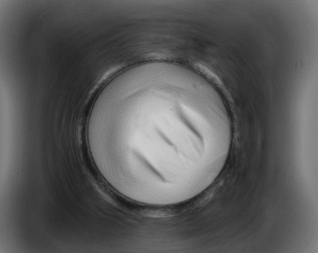 X0000082950106200703020158