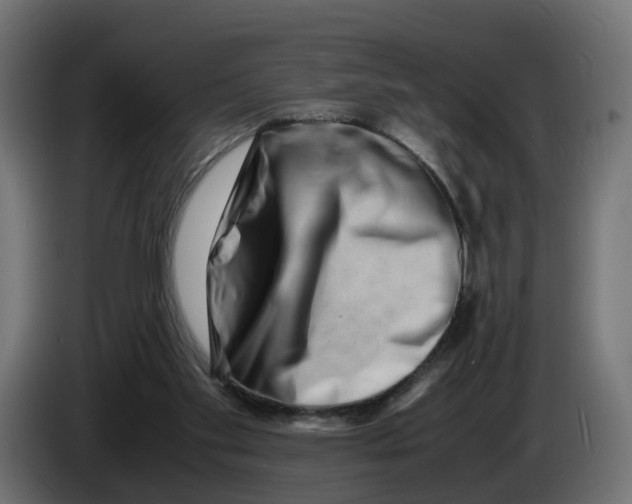 X0000082950109200703020158