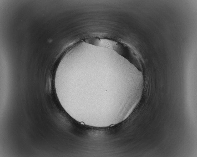 X0000082950110200703020158