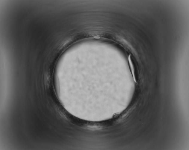 X0000082950113200703020158