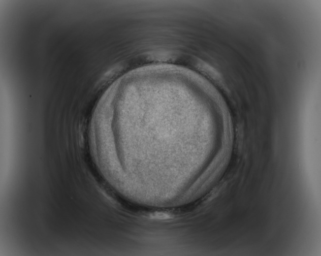 X0000082950114200703020158