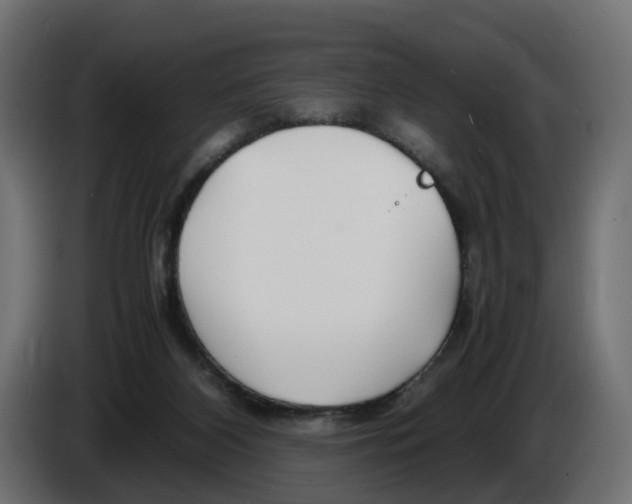 X0000082950116200703020158