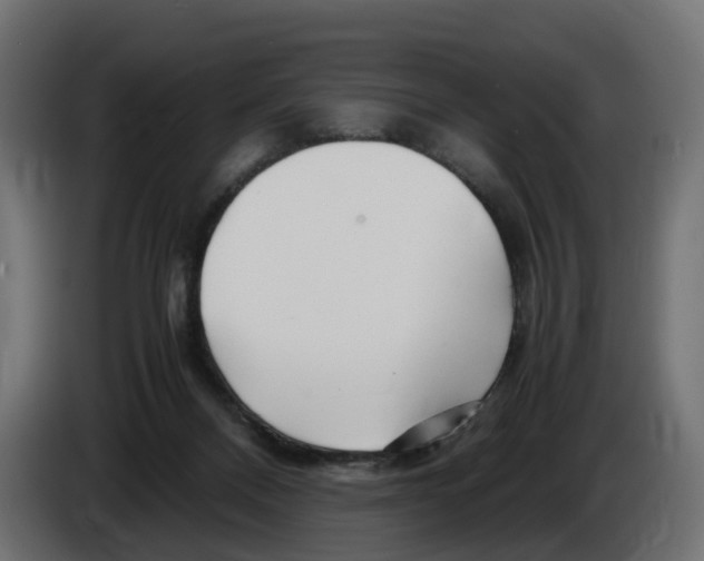 X0000082950120200703020158