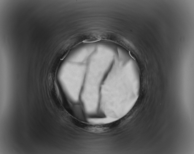 X0000082950121200703020158