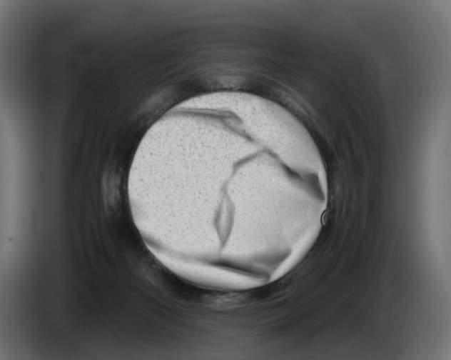 X0000082950122200703020158