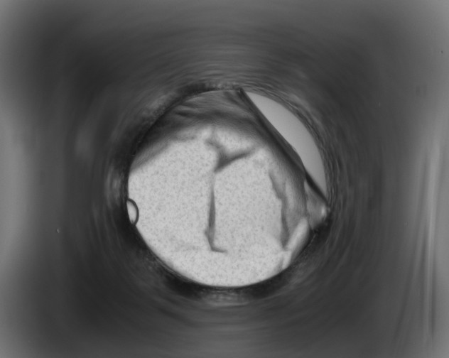 X0000082950123200703020158