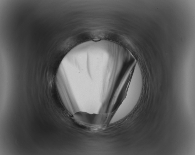 X0000082950125200703020158