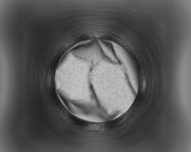 X0000082950126200703020158