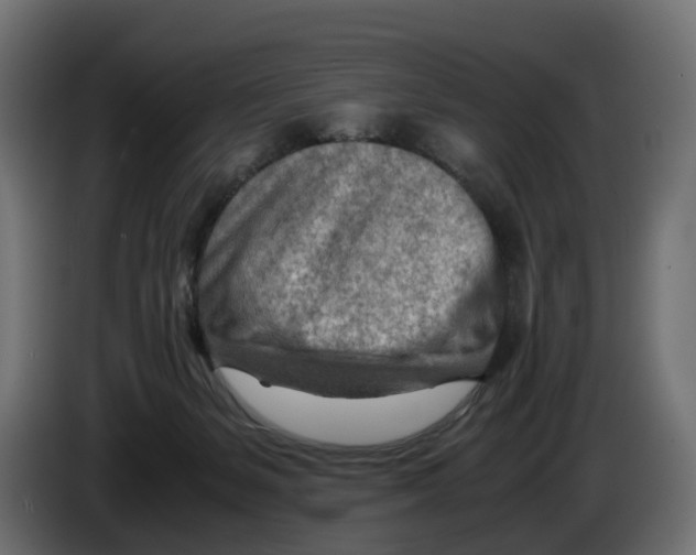 X0000082950127200703020158