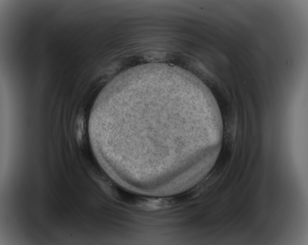 X0000082950130200703020158