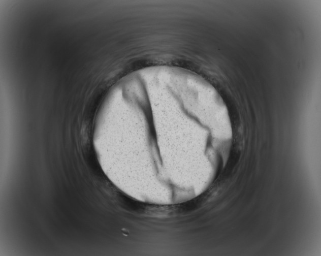 X0000082950131200703020158